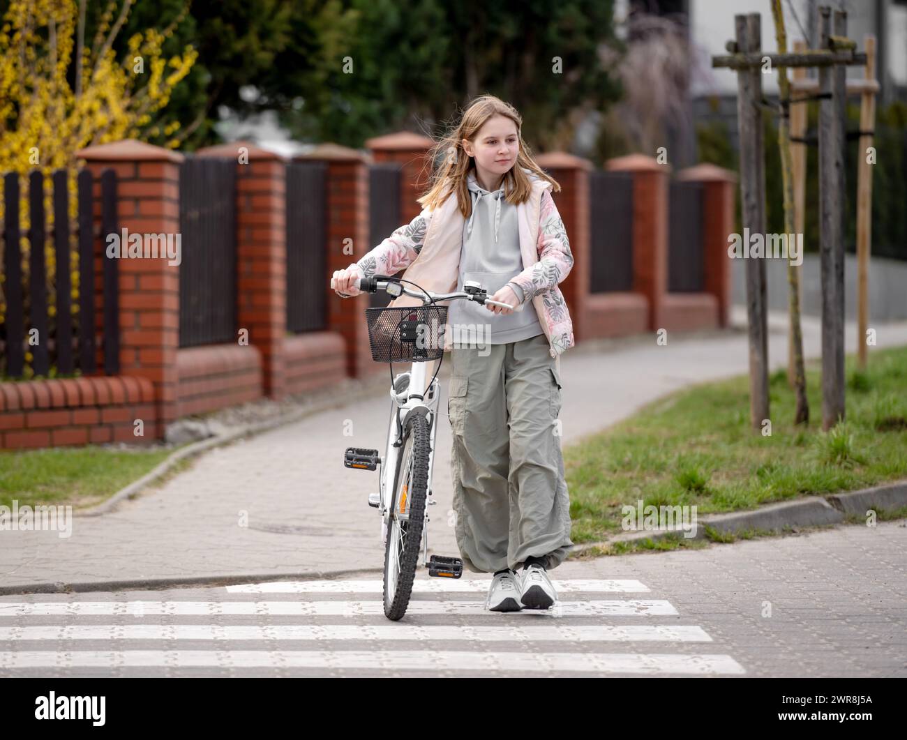 Spring Crosswalk Pedestrian crosses crosswalk in hi-res stock photography and images - Alamy