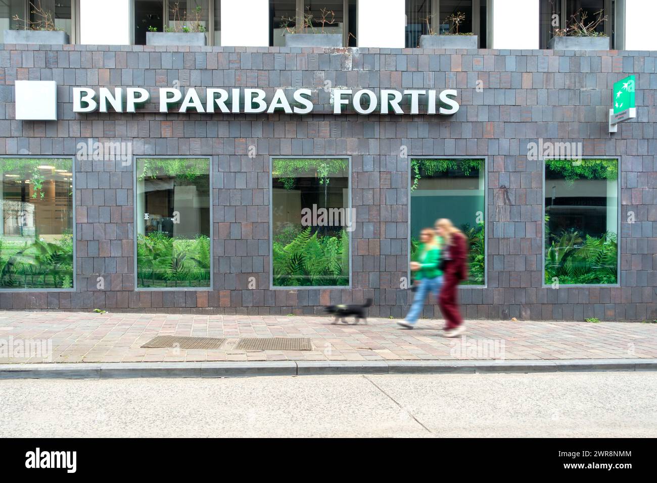 Shoppers walking past BNP Paribas Fortis bank office in the city centre of Ghent / Gent, East Flanders, Belgium Stock Photo