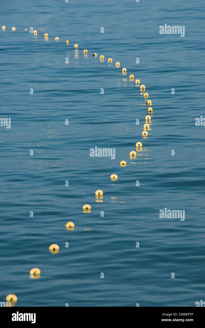 Yellow spheres float peacefully on calm water Stock Photo