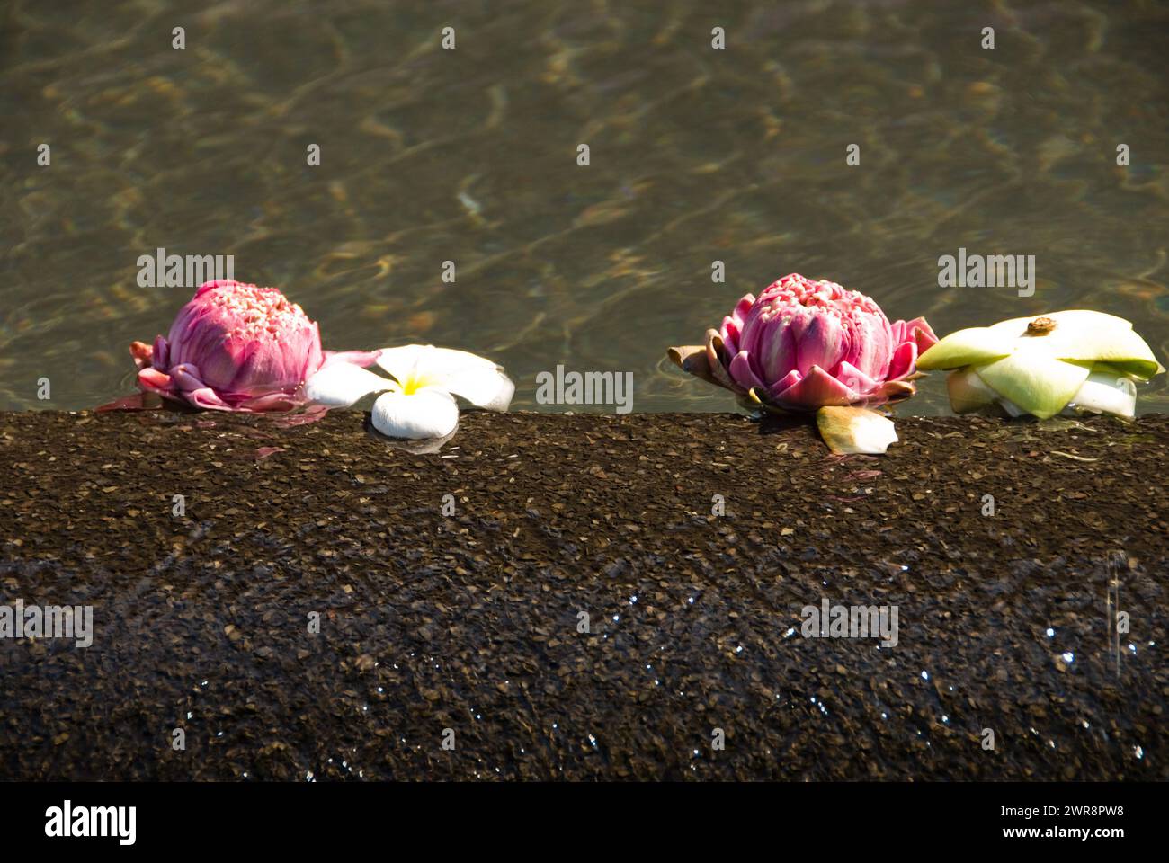 Various flowers floating in water and resting on a ledge by rocks Stock Photo