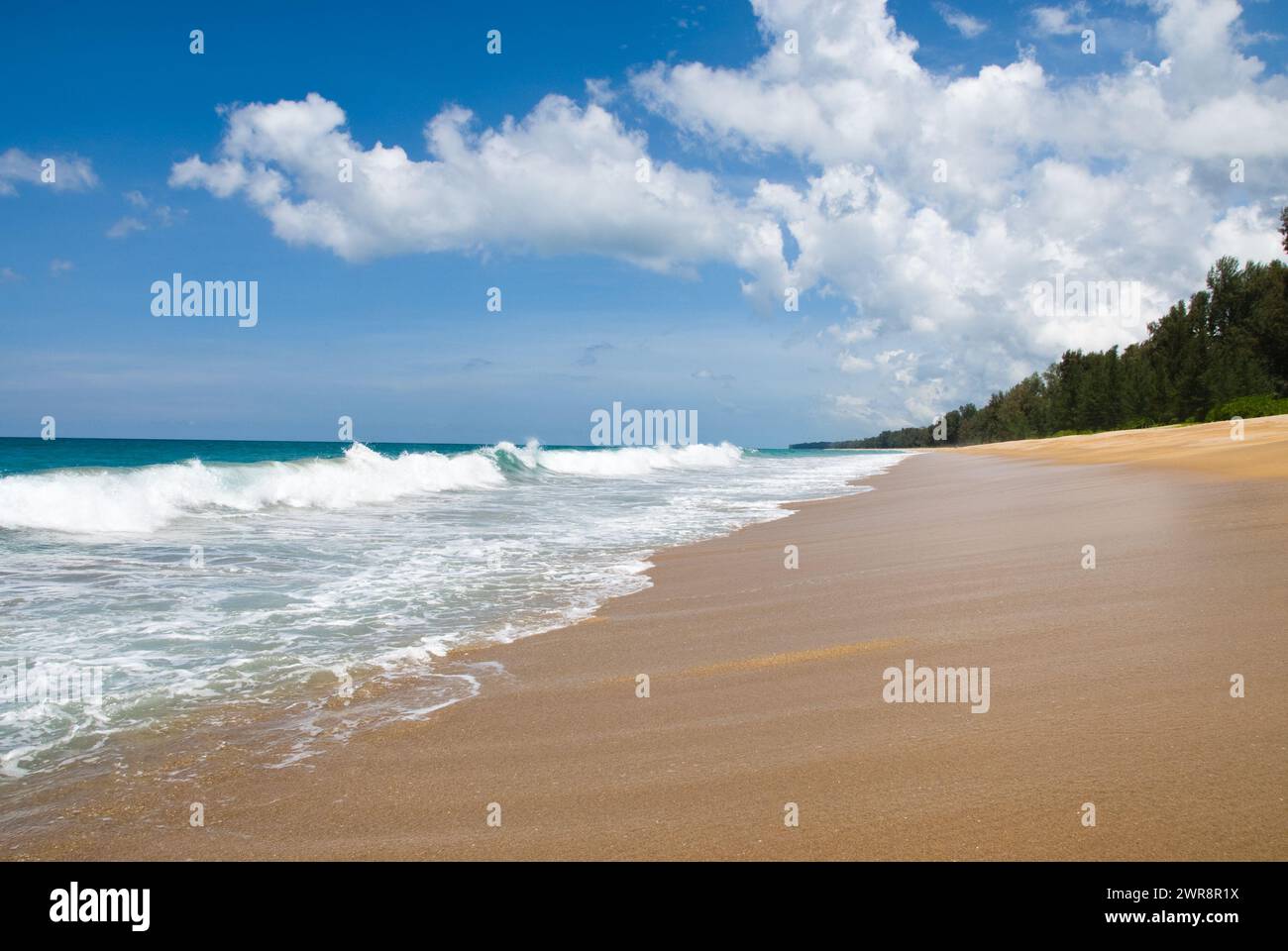 A beach with waves, trees on the shore, and sand Stock Photo