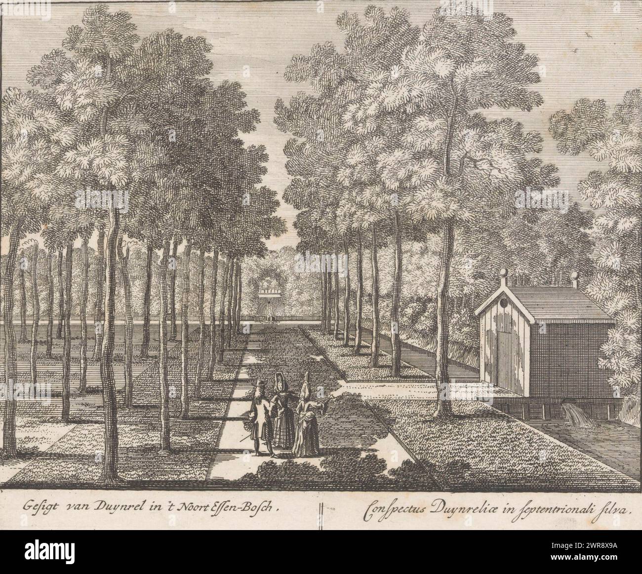 View of the ash forest of the Duinrell country estate, View of Duynrel in 't noort essen-bosch / Conspectus Duynreliae in septentrionali silva (title on object), Views of the Duinrell country estate (series title), View of the ash forest of the Duinrell country estate, with the path three walkers. Numbered bottom right: 15. Print from a series of sixteen prints by Duinrell., print maker: anonymous, publisher: Pieter Schenk (I), unknown, Amsterdam, 1675 - 1711, paper, etching, engraving, height 172 mm × width 202 mm, print Stock Photo