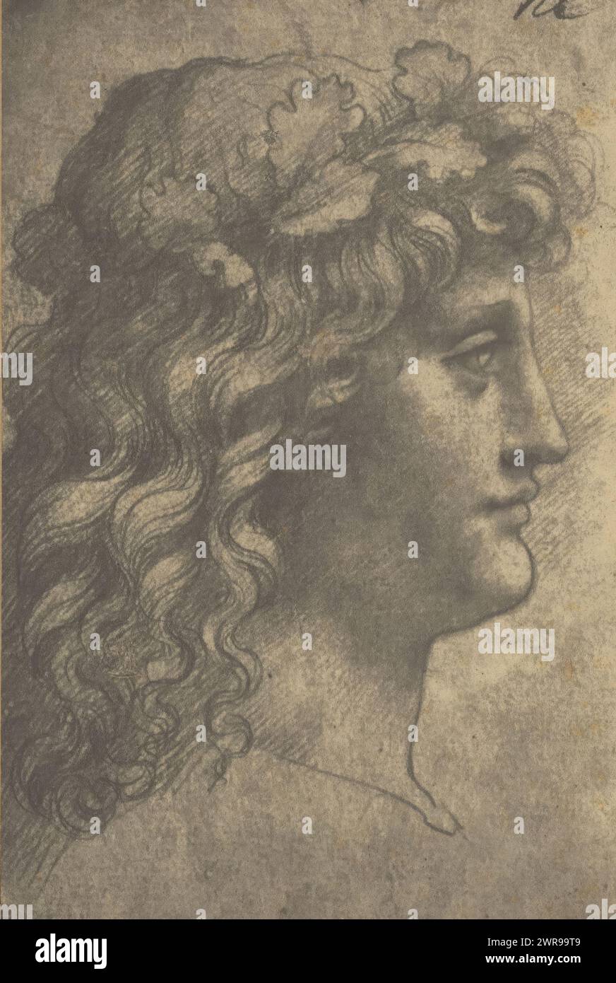 Photo reproduction of a drawing by Leonardo da Vinci (head of a man), Adolphe Braun & Cie., 1880 - 1900, paper, carbon print, height 186 mm × width 123 mm, photograph Stock Photo