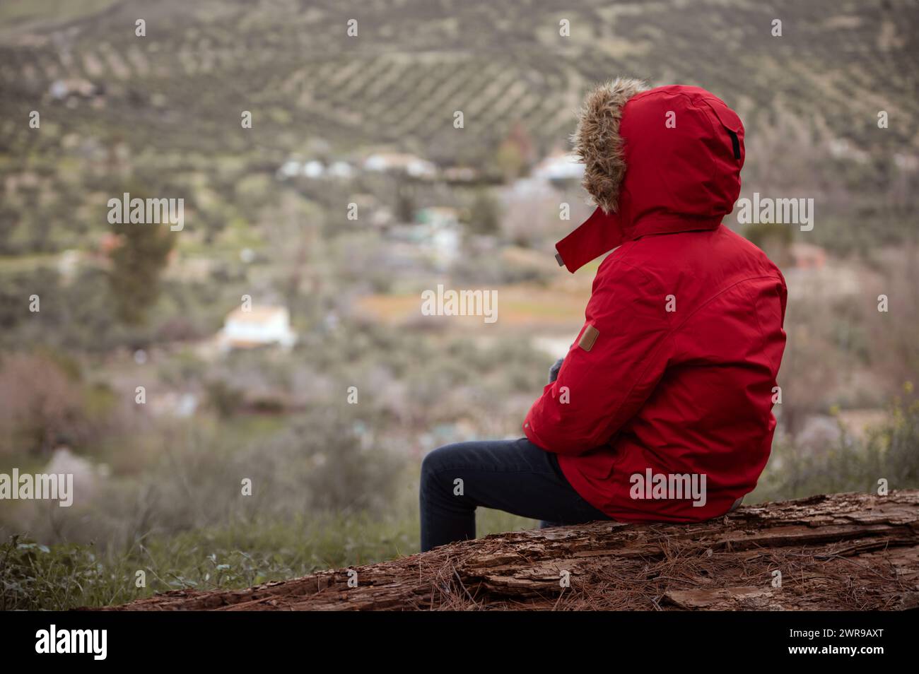 Teenager boy sitting on the log back to camera, admiring mountains landscape. Rear view of child traveler adventurer hiker in red parka with further h Stock Photo