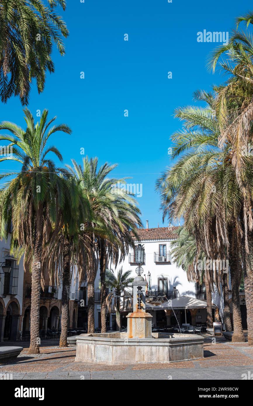 A town street with a fountain and palm trees Stock Photo