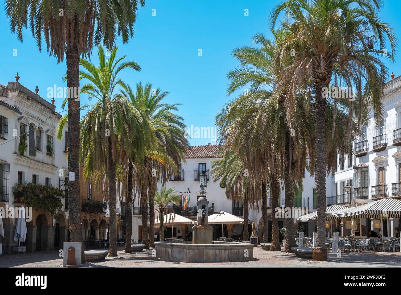 Palm trees near a building outdoors Stock Photo