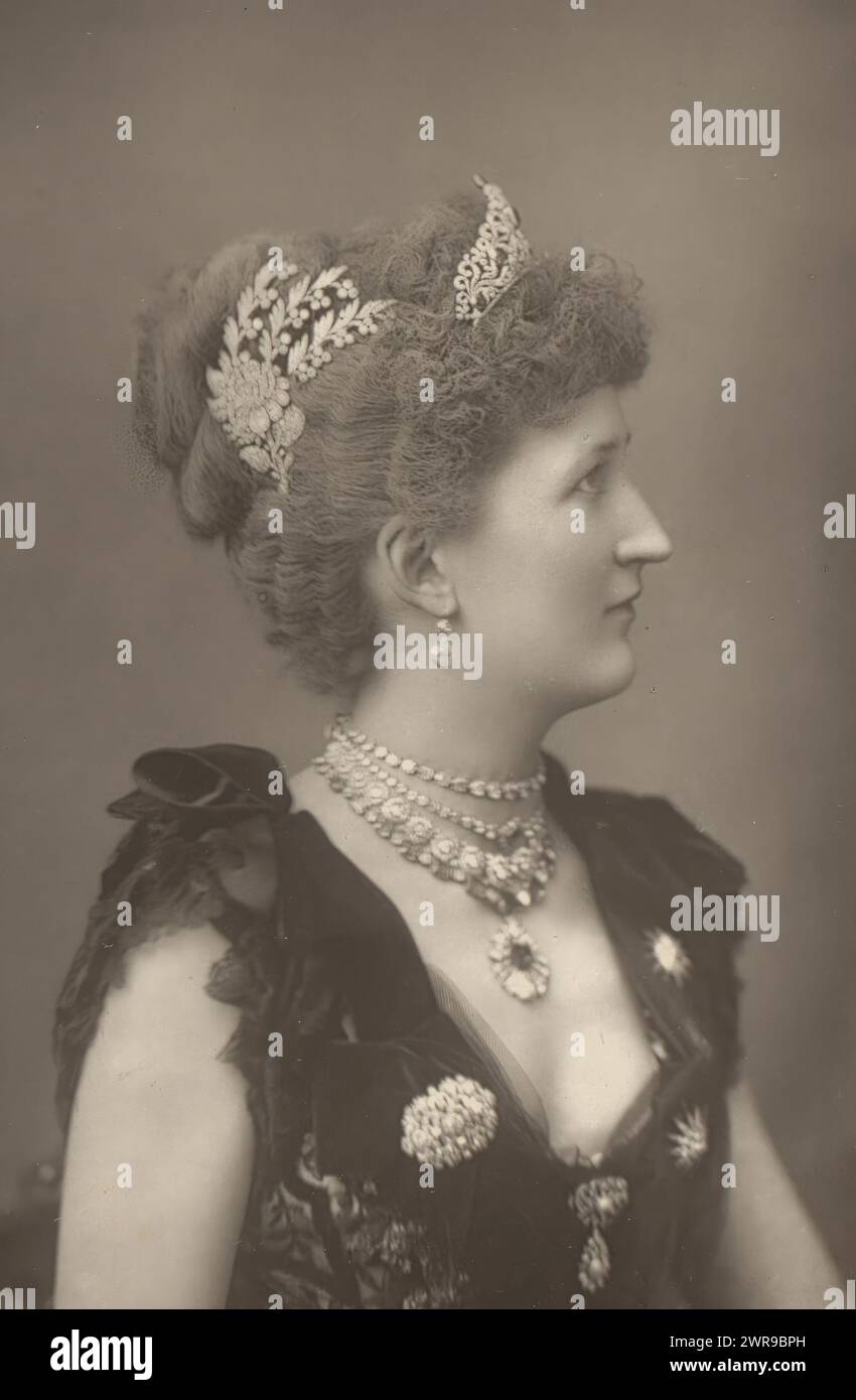 Portrait of Julia Mary, Baroness of Carew, Lady Carew (title on object), William & Daniel Downey, anonymous, London, c. 1882 - in or before 1892, paper, height 140 mm × width 93 mm, photomechanical print Stock Photo