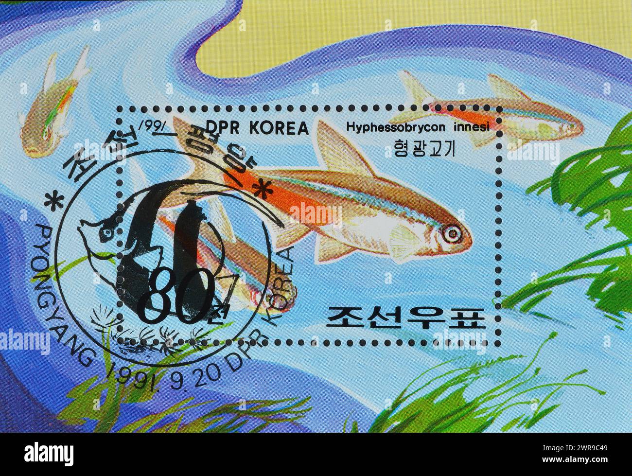 Souvenir Sheet with cancelled postage stamp printed by North Korea, that shows Neon Tetra (Hyphessobrycon innesi),  International Stamp Exhibition PHI Stock Photo