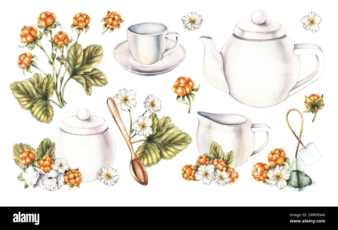 Watercolor white tea set, tea bags, sugar and cloudberries isolated on white. Tea set for design of packaging, labels, food products, etc. Stock Photo