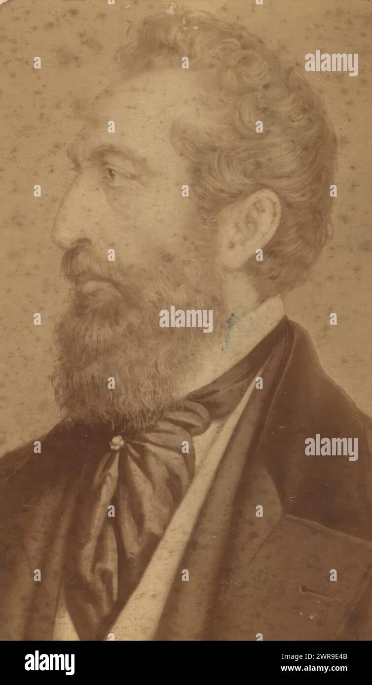 Photo reproduction of a painted portrait of Edward Bulwer-Lytton after Ernst Hader by Sophus Williams, This photo is part of an album., Sophus Williams, after painting by: Ernst Hader, Berlin, 1878, photographic support, albumen print, height 84 mm × width 51 mm, photograph Stock Photo