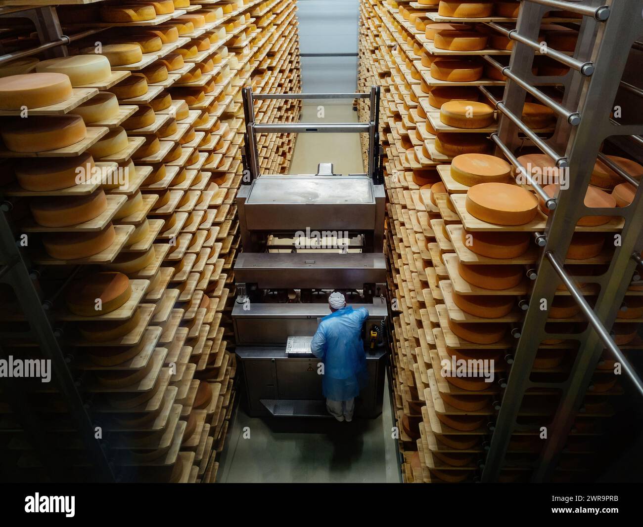 Loading machine working at cheese warehouse. Stock Photo
