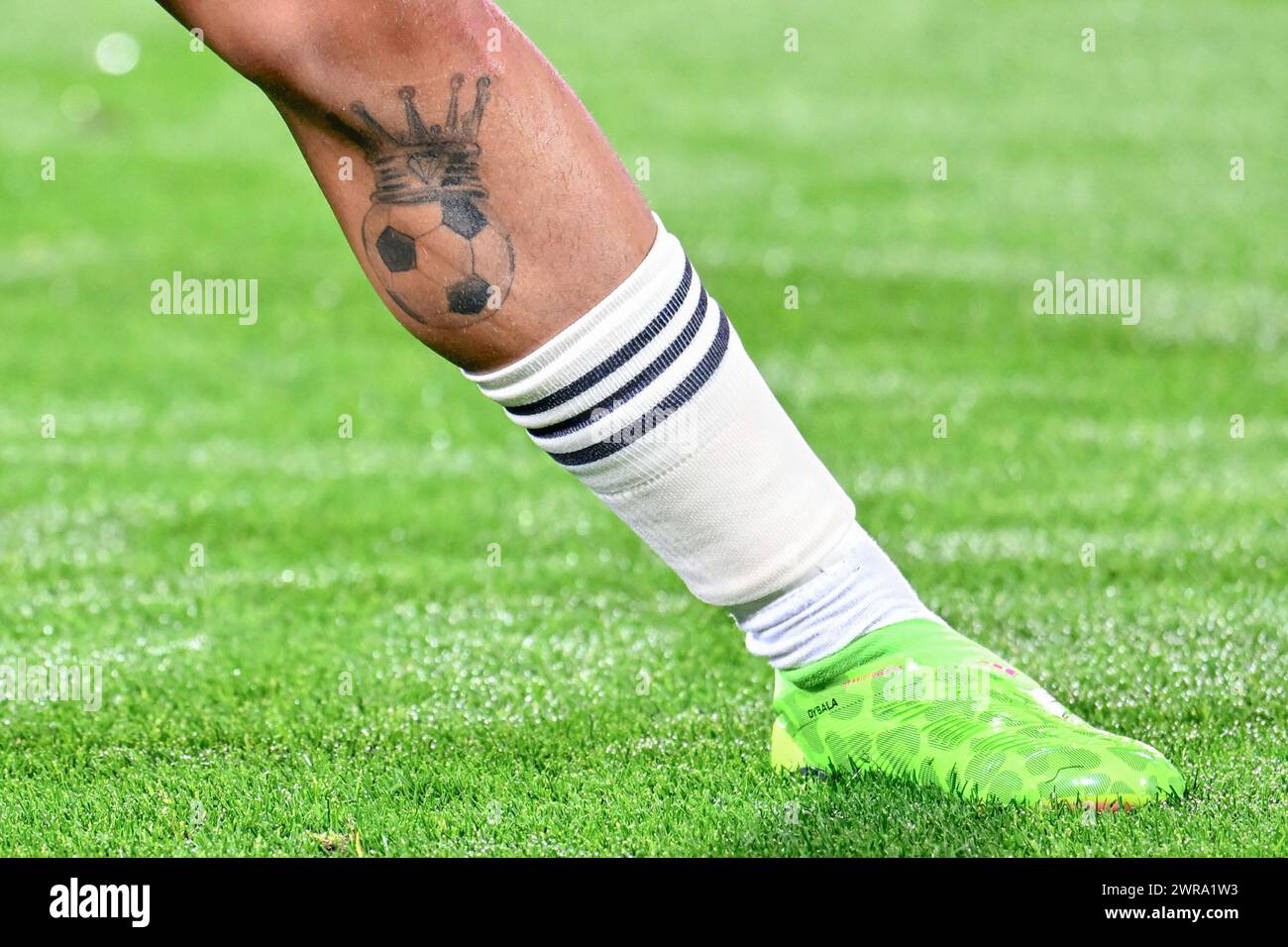 Meu 4º dia como tatuador: risadas e desafios | TikTok, image size:1300x956