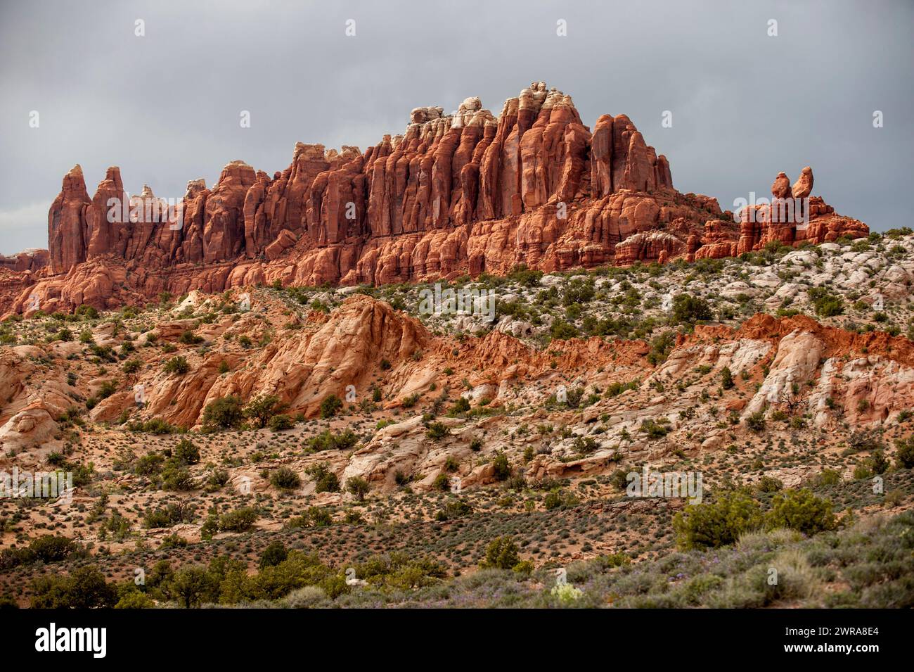 The Marching Men, as seen from the four-wheel-drive-only West Salt Valley Jeep Road in Arches National Park, Utah Stock Photo