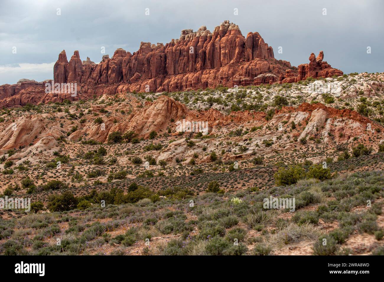 The Marching Men, as seen from the four-wheel-drive-only Klondike Bluffs Road in Arches National Park, Utah Stock Photo