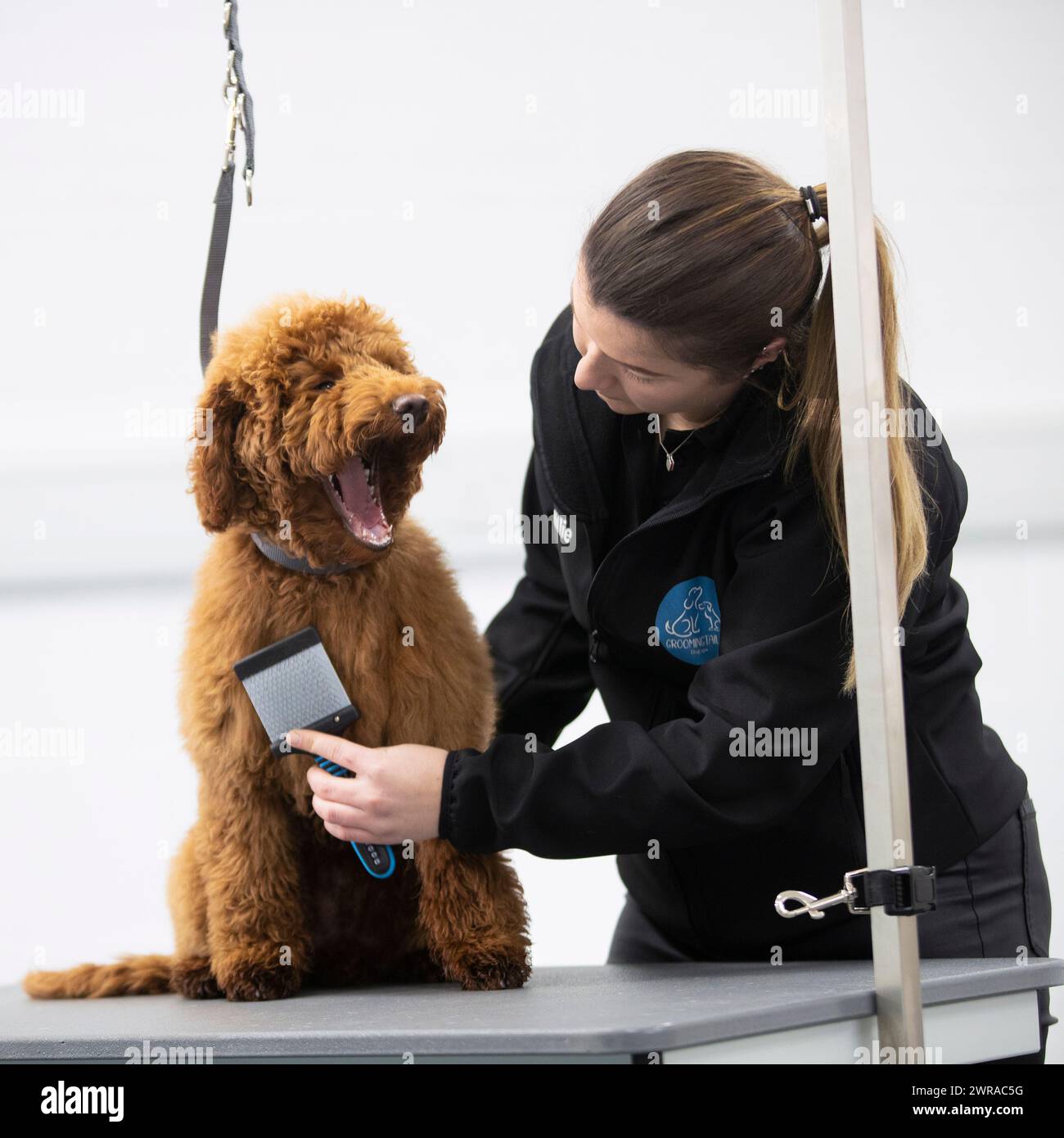 Groomingtails hires stock photography and images Alamy