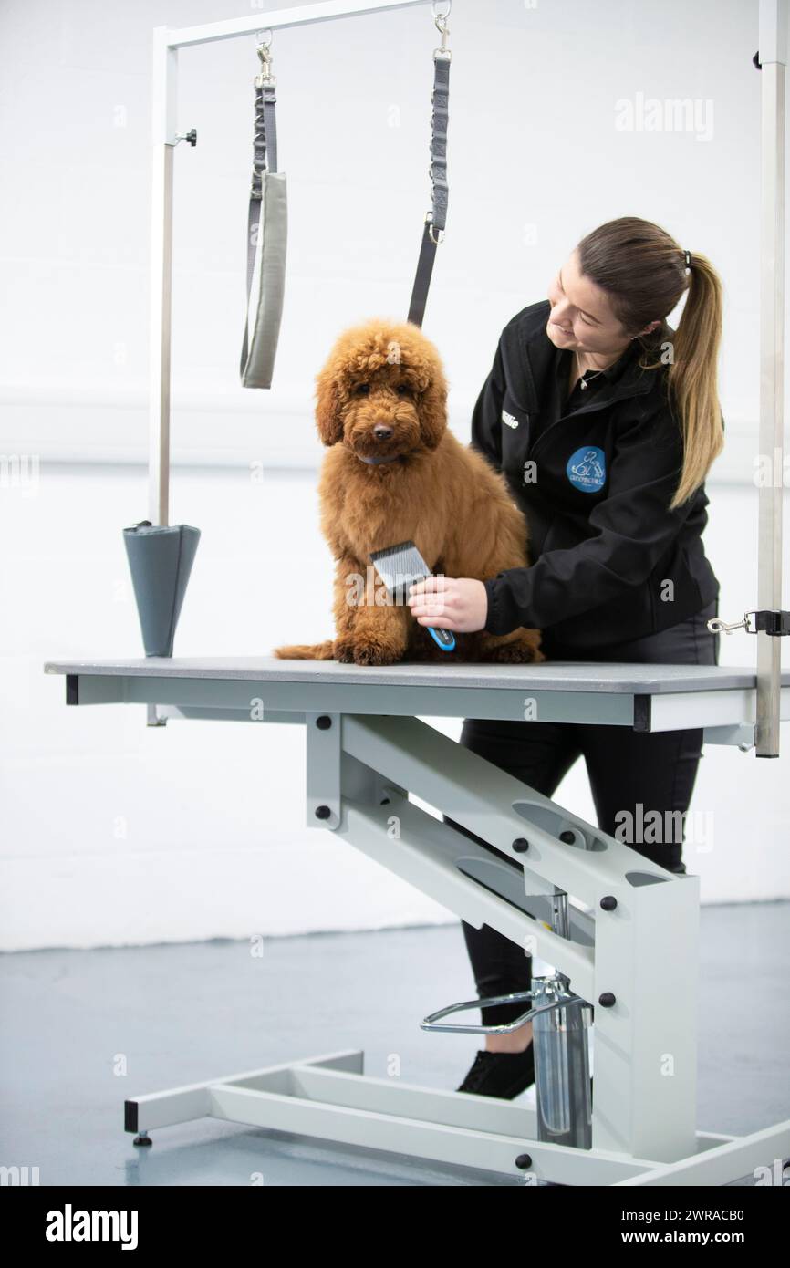 Groomingtails hires stock photography and images Alamy