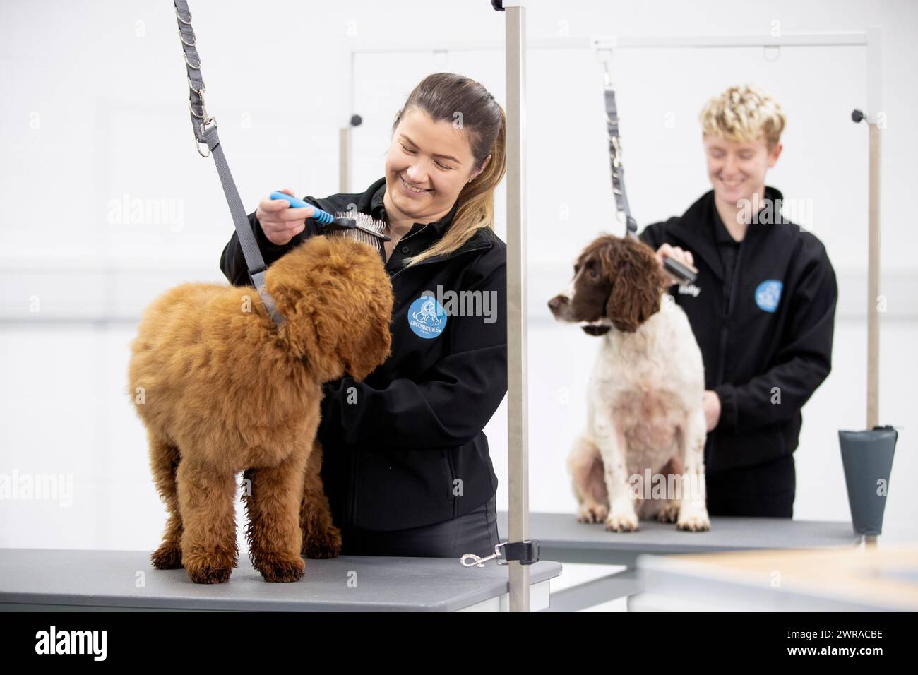 Groomingtails hires stock photography and images Alamy