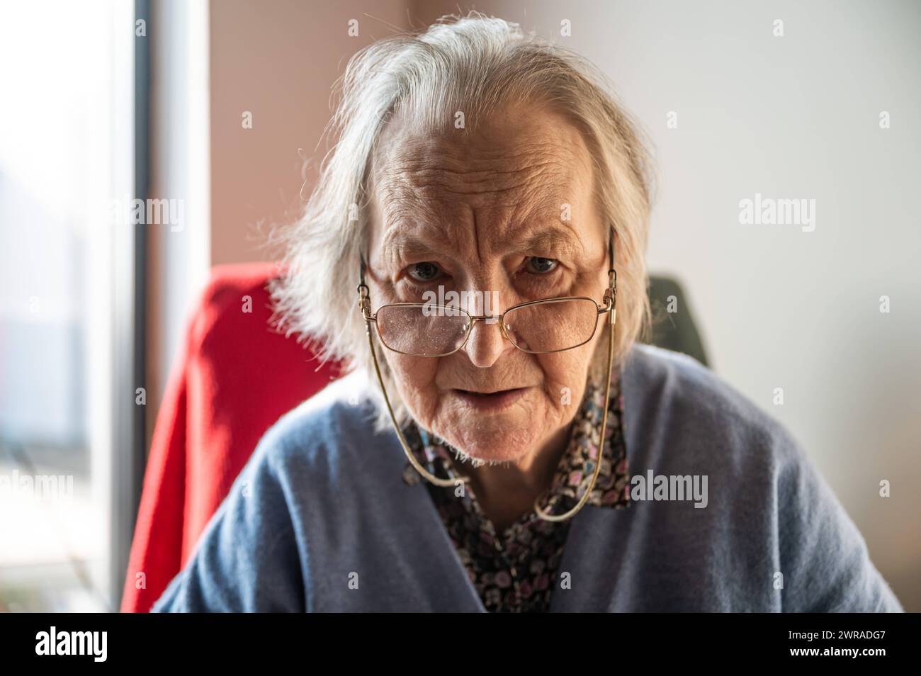 Portrait of an 85 yo white grandmother sitting, Tienen, Flemish Brabant, Belgium Model Released Stock Photo
