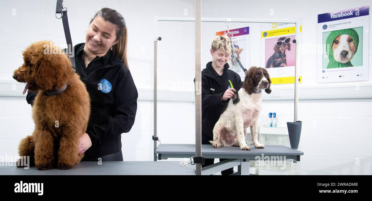 Groomingtails hires stock photography and images Alamy