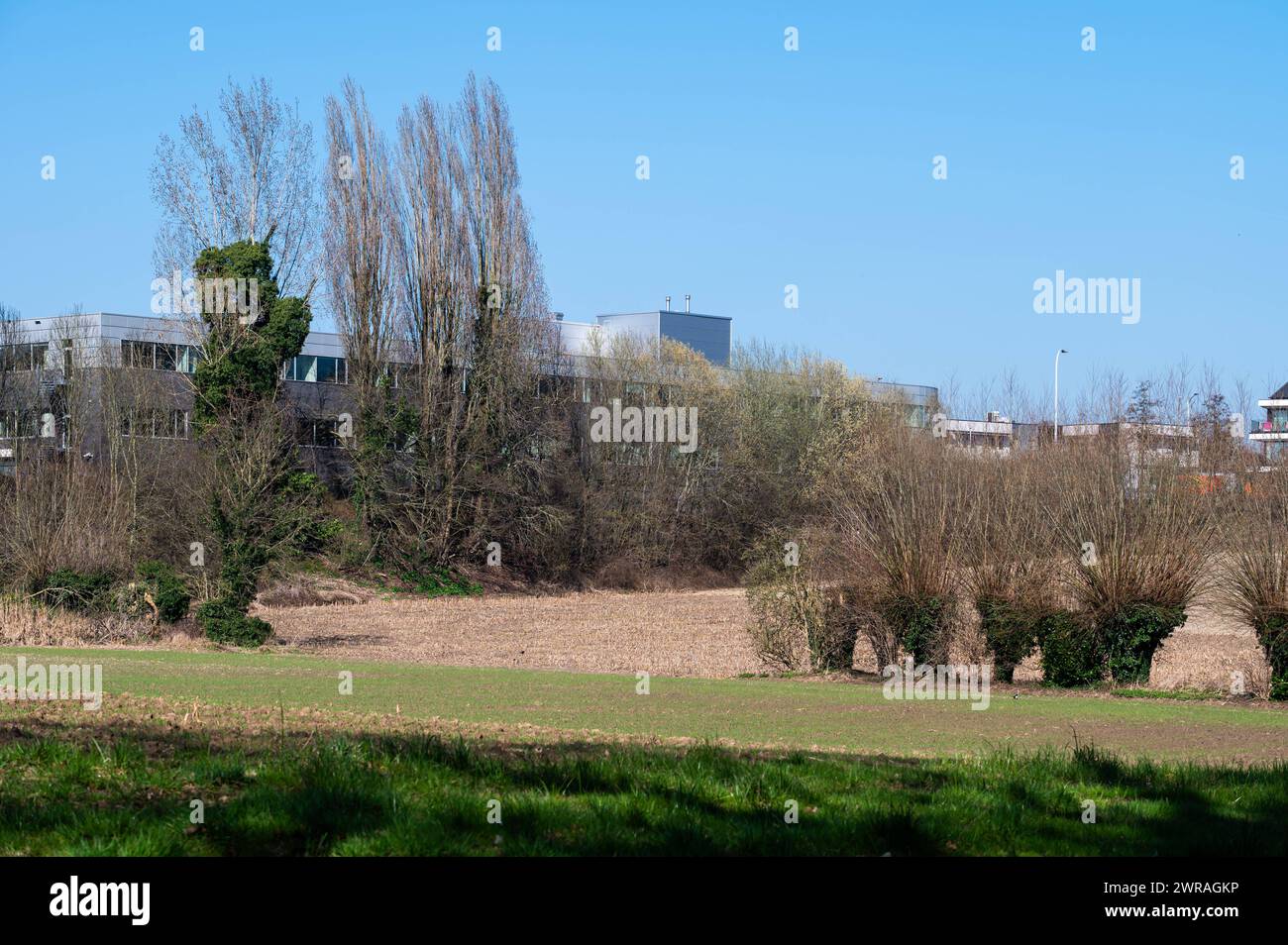 Farmland and hills against blue sky at the Flemish countryside around Zellik, Flemish Brabant, Belgium Stock Photo