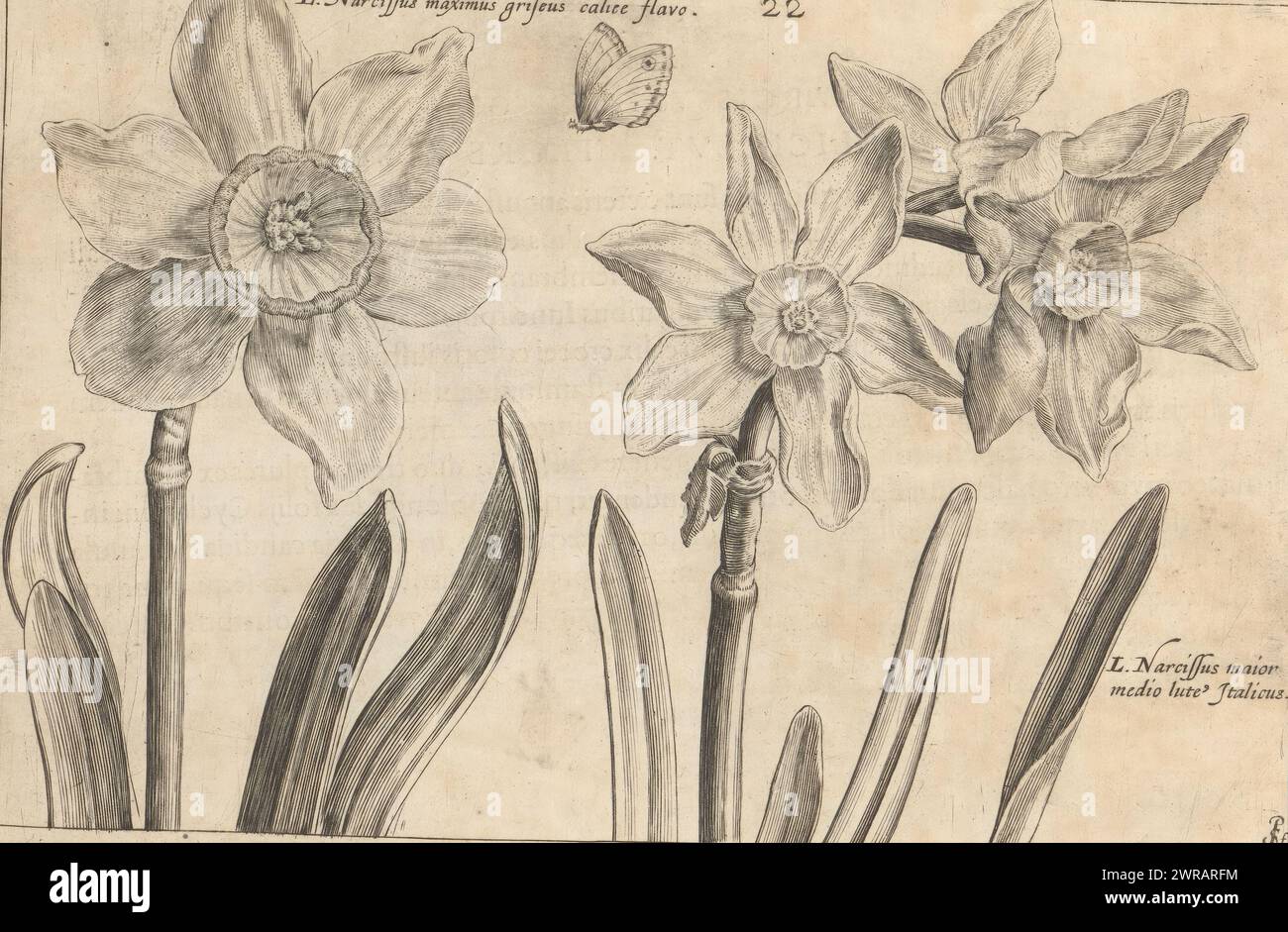 Print medie hi-res stock photography and images - Alamy
