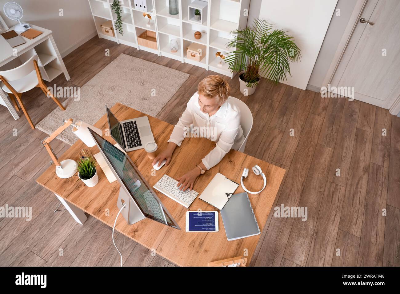 Mature female programmer working with computer at table in office Stock Photo