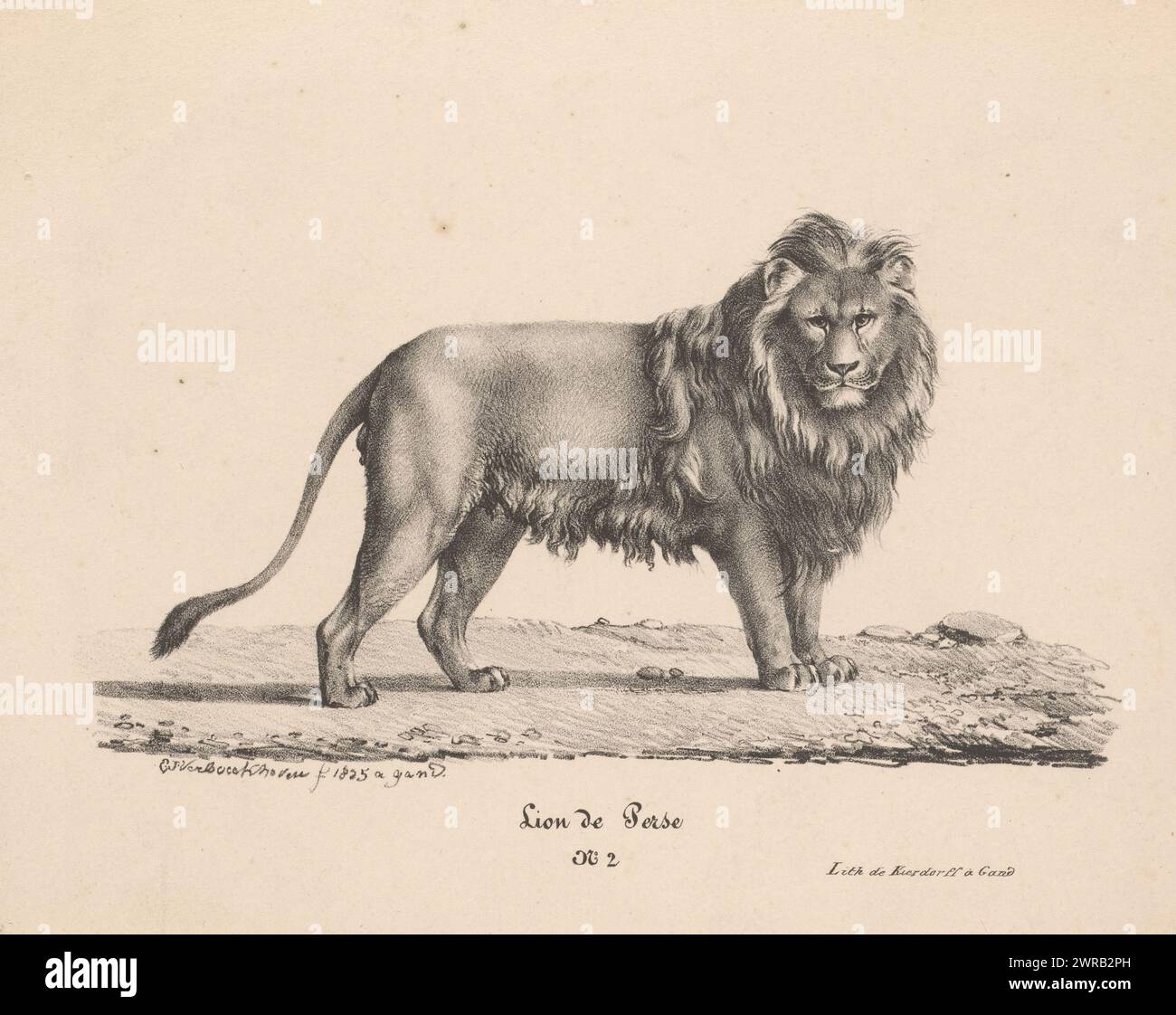 Persian Lion, Eugène Verboeckhoven, 1825 - c. 1828 print In the