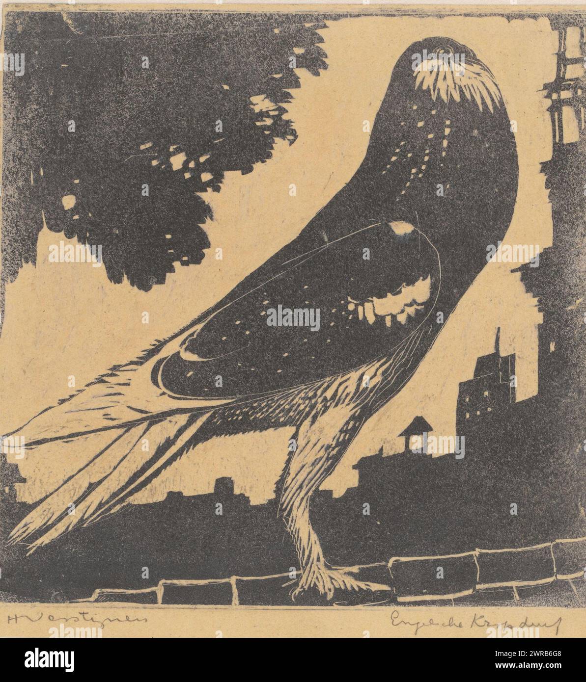 Pouter English Pouter Pigeon (title on object), print maker: Henri Verstijnen ...