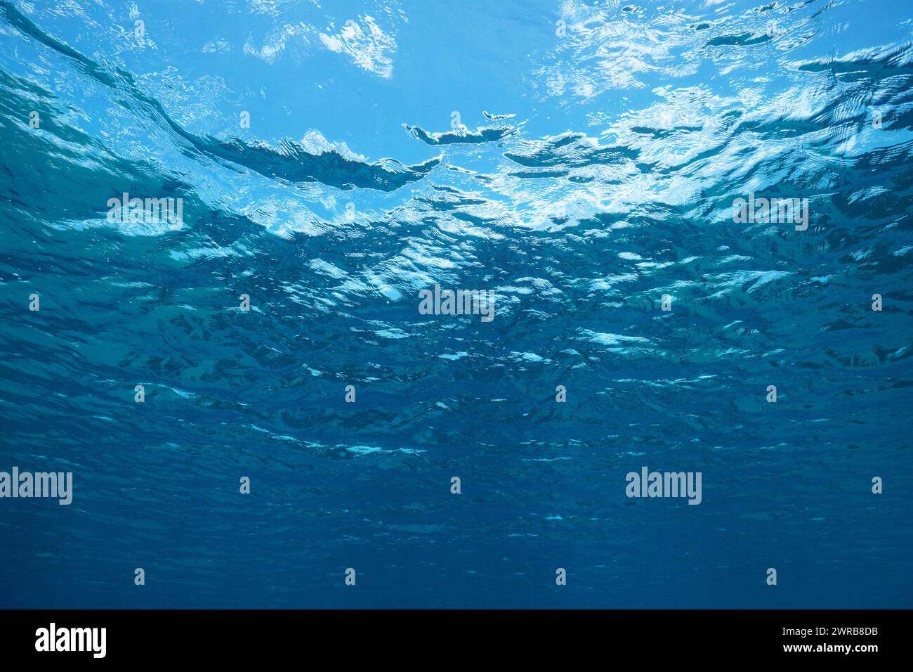 Water surface from underwater in the sea, natural scene, Mediterranean sea, France Stock Photo