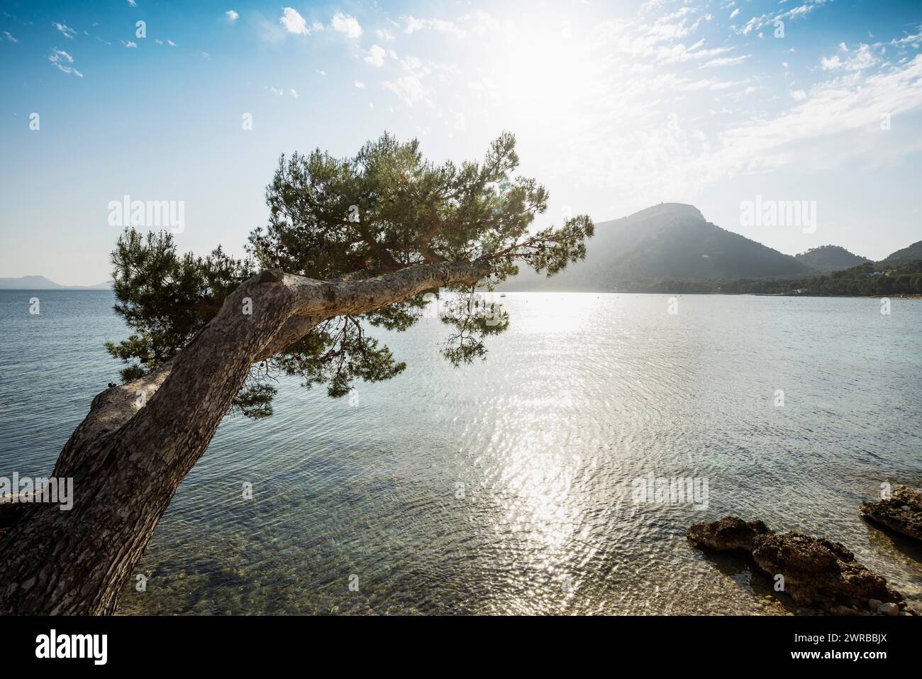 Platja Formentor, Cape Formentor, Port de Pollenca, Serra de Tramuntana ...