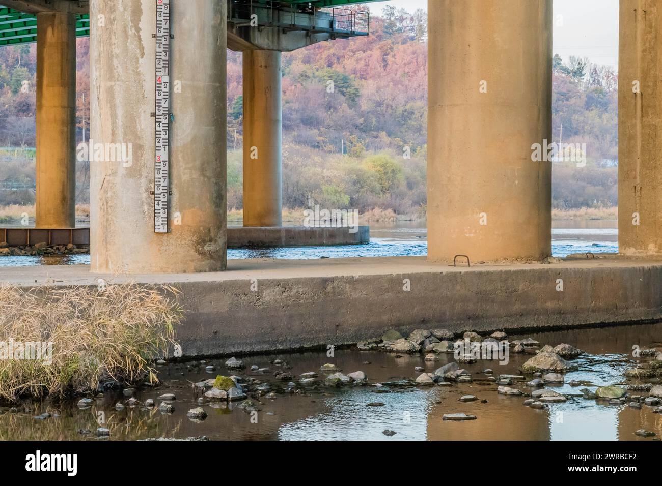 Pillars of a bridge over a river showing a water level gauge, with fall foliage around, in South Korea Stock Photo