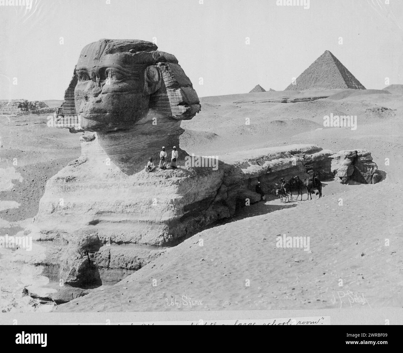 The Sphinx, Egypt, Carpenter, Frank G. (Frank George), 1855-1924, collector, between 1890 and 1923, Sphinxes, Egypt, 1890-1930, Photographic prints, 1890-1930., Photographic prints, 1890-1930, 1 photographic print Stock Photo