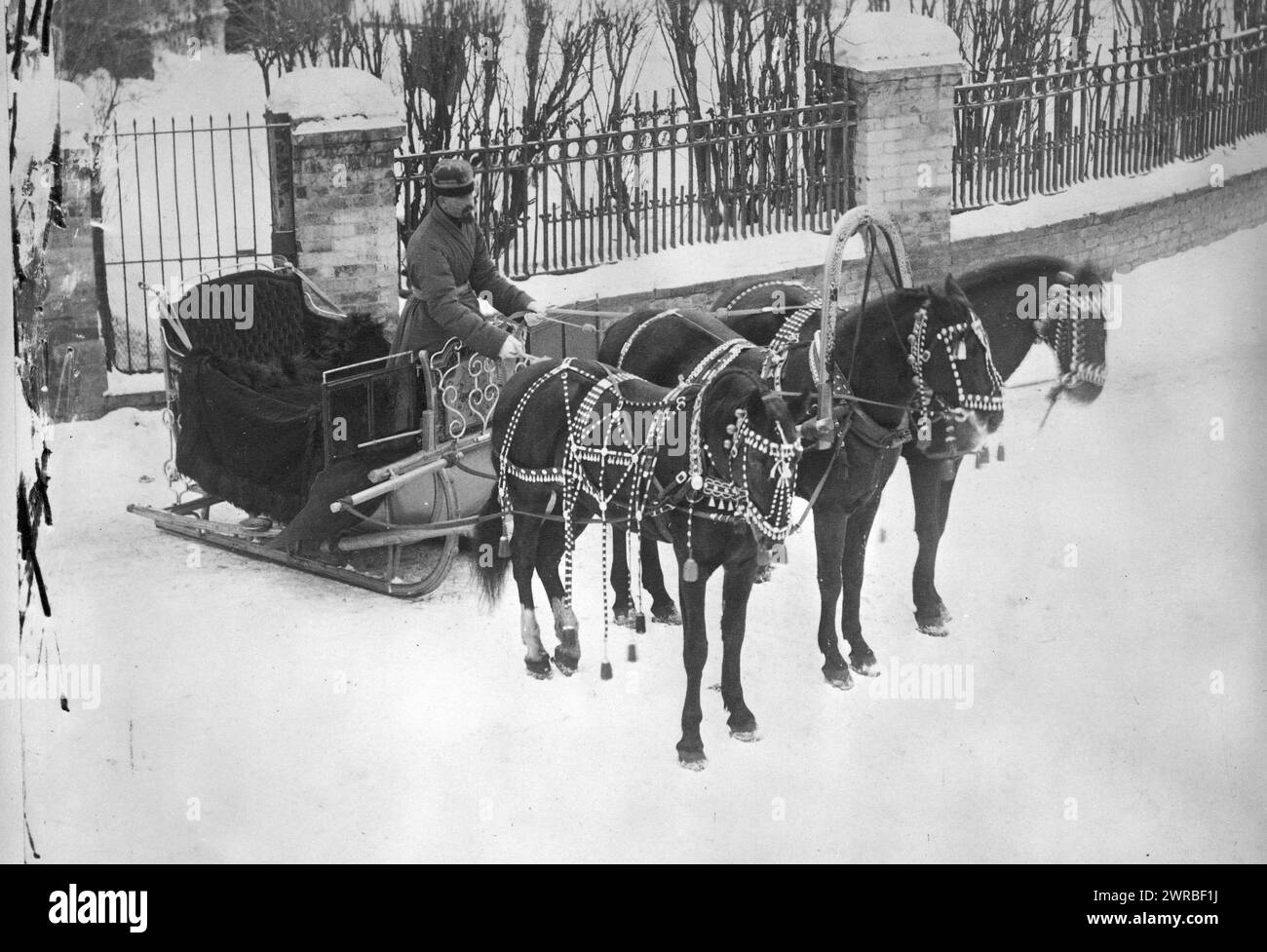 Horse drawn sledge, in Russia, Photo shows a man standing in a troika sled, holding the rein attached to a team of three horses., Carpenter, Frank G. (Frank George), 1855-1924, collector, between 1900 and 1923, Horse teams, Russia (Federation), 1890-1930, Photographic prints, 1900-1930., Photographic prints, 1900-1930, 1 photographic print Stock Photo