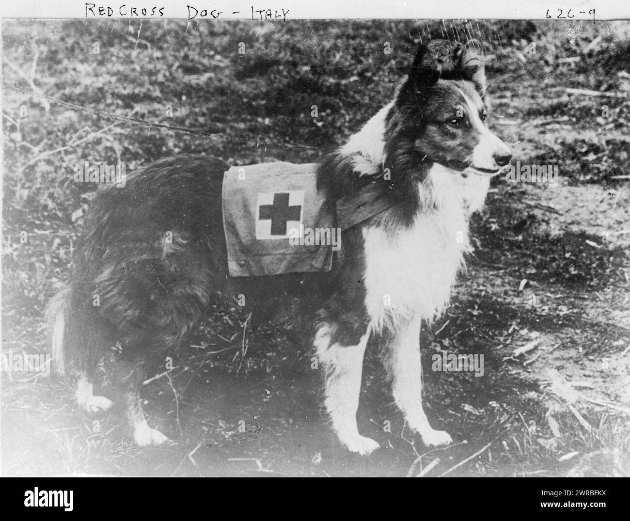 Italy 1909 hi-res stock photography and images - Alamy