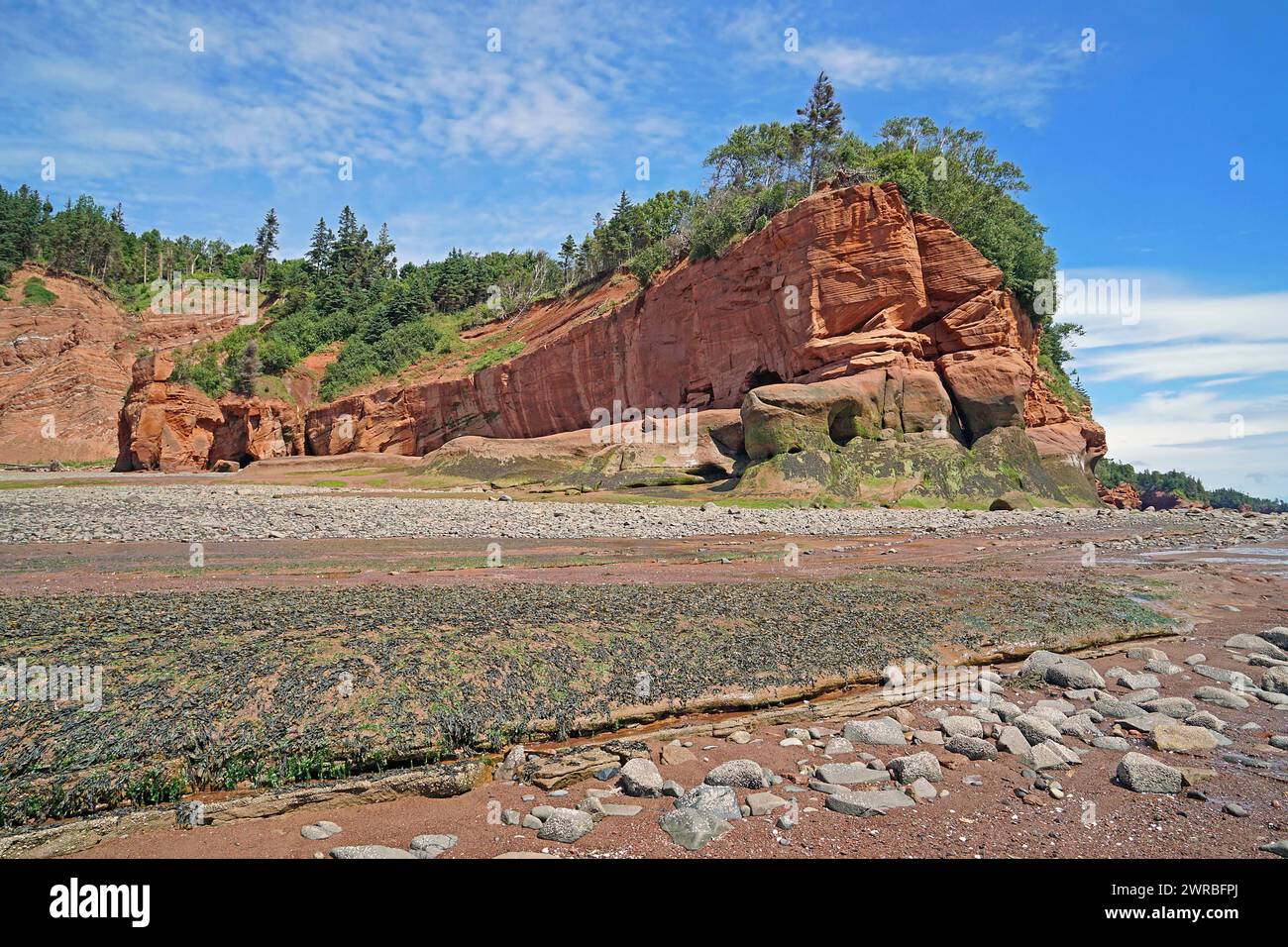 Beach at low tide, cliffs, red sandstone, Five Islands Provincial Park