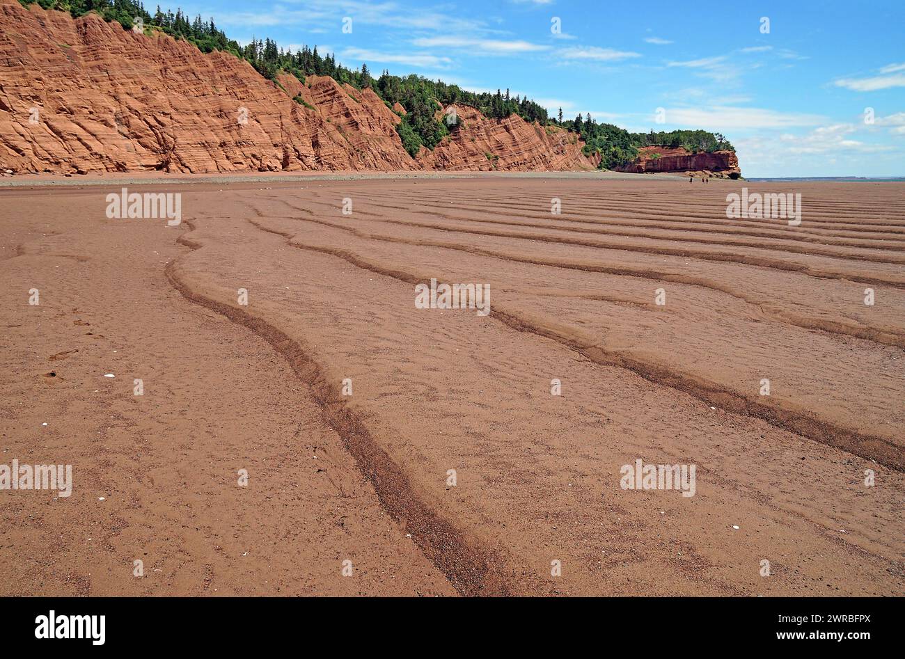 Sandy beach beach at low tide, cliffs, red sandstone, Five Islands