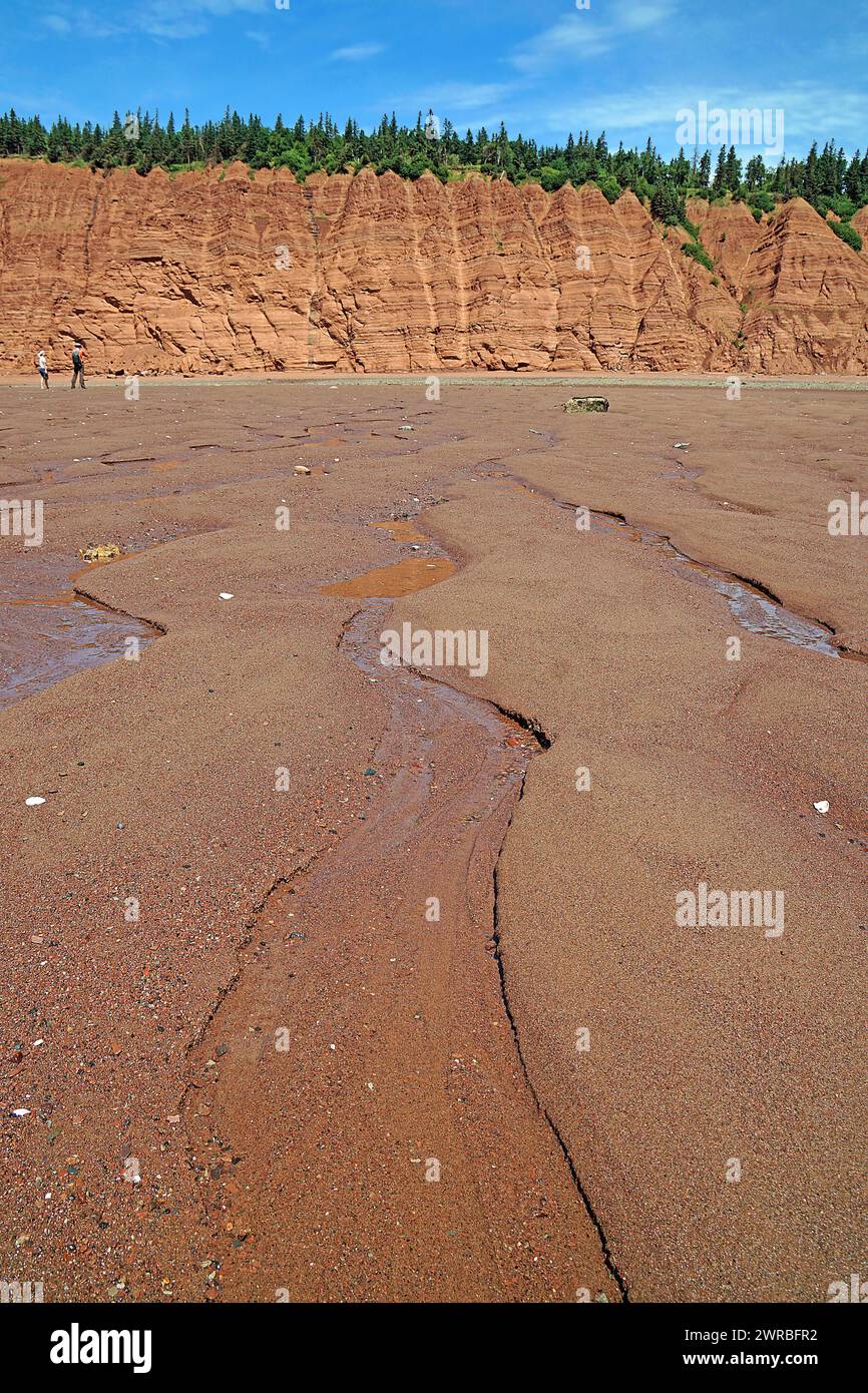 Sandy beach beach at low tide, cliffs, red sandstone, Five Islands