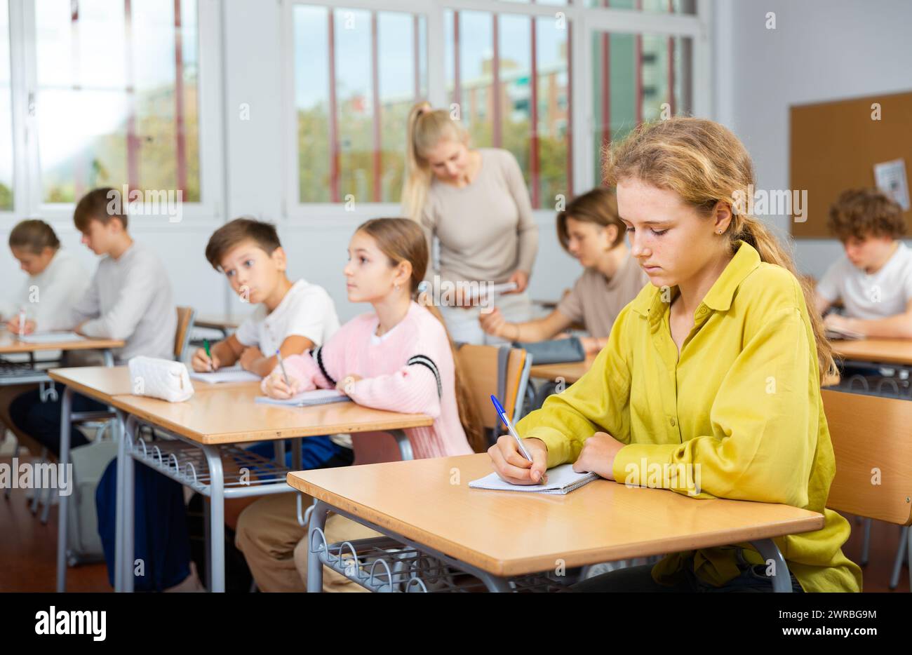 Portrait of schoolgirl at lesson in school Stock Photo - Alamy