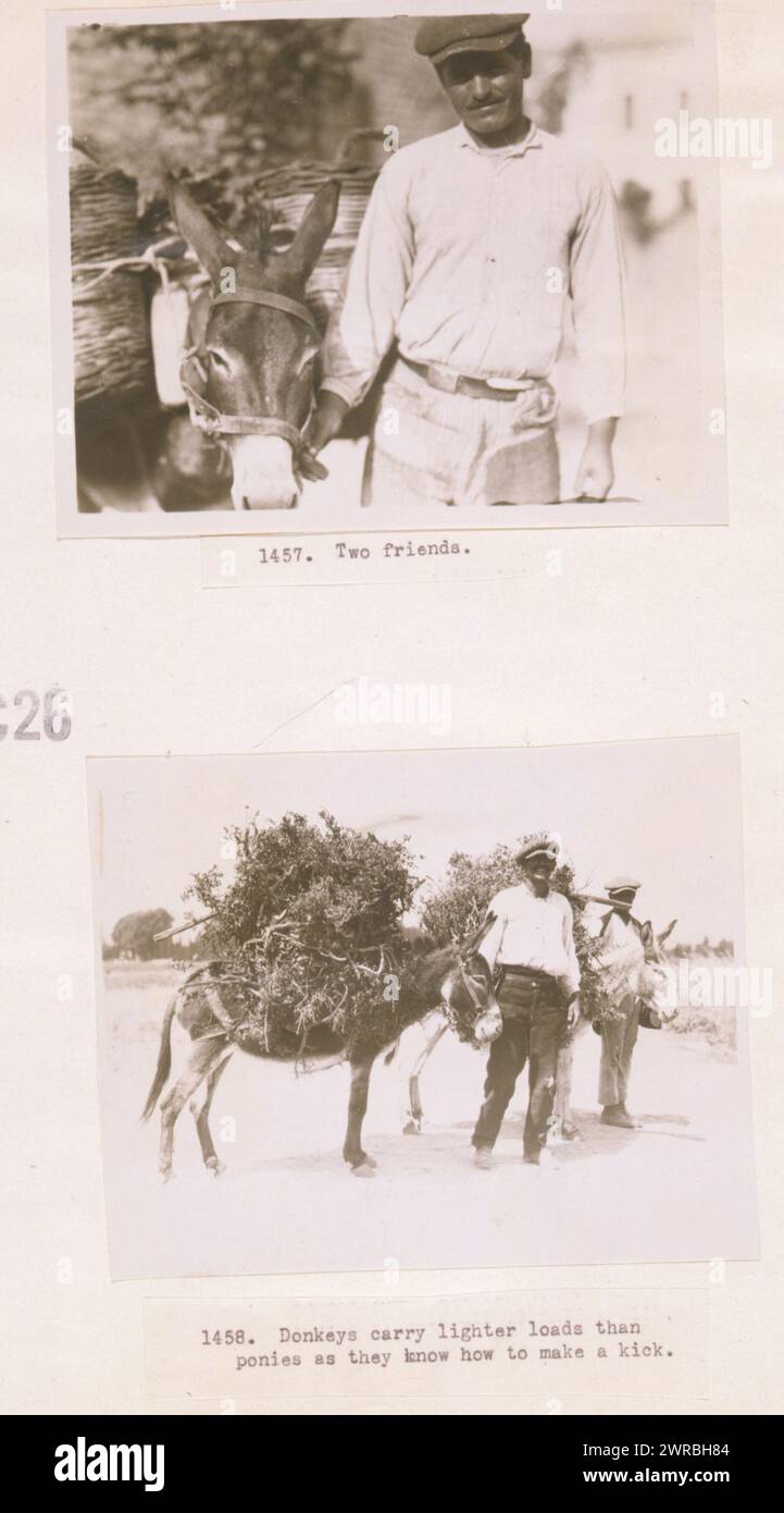 Two friends Donkeys carry lighter loads than ponies as they know how to make a kick., Photographs show a Greek man with his donkey which has baskets on its back and two men with donkeys loaded with branches, Greece., Carpenter, Frank G. (Frank George), 1855-1924, photographer, 1923., Men, Clothing & dress, Greece, 1920-1930, Gelatin silver prints, 1920-1930., Group portraits, 1920-1930, Portrait photographs, 1920-1930, 2 photographic prints (1 page): gelatin silver Stock Photo