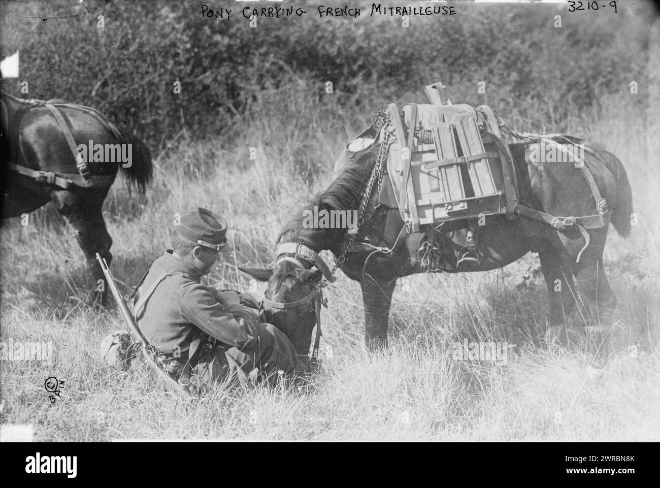 Pony carrying French Mitrailleuse, Photograph shows a French soldier
