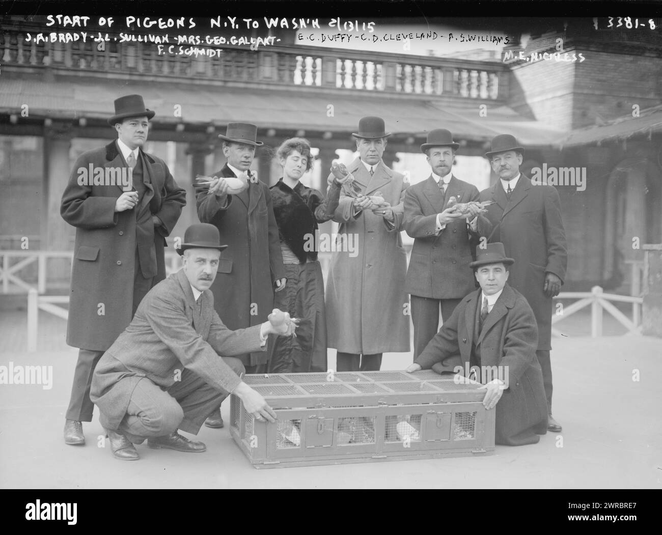 Start of pigeons N.Y. to Wash'n, 2/13/15, - J.A. Brady, J.L. Sullivan, Mrs. Geo. Gallant, F. Fred C. Schmidt, E.C. Duffy, C.D. Cleveland, A.S. Williams, M.E. Hickless, Photograph shows officials of the Poultry and Pigeon Show on the roof of Madison Square Garden in New York City, preparing to release pigeons carrying peace messages for President Wilson in Washington, D.C., 1915 Feb. 13, Glass negatives, 1 negative: glass Stock Photo