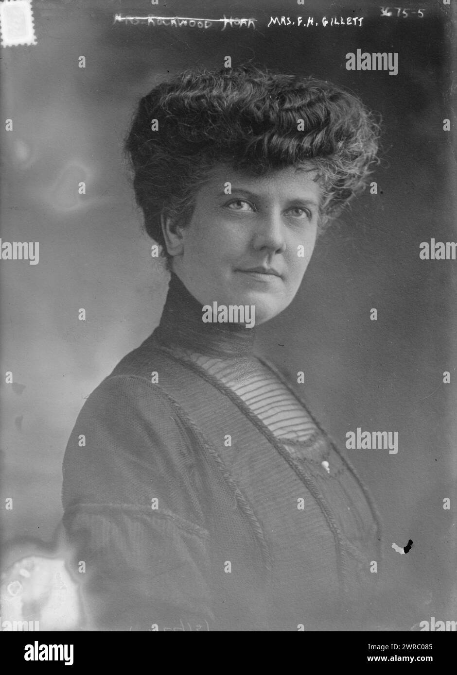 Mrs. F.H. Gillett, Photograph shows Christine (Rice) Hoar who married Frederick Huntington Gillett, a representative from Massachusetts., between ca. 1910 and ca. 1915, Glass negatives, 1 negative: glass Stock Photo