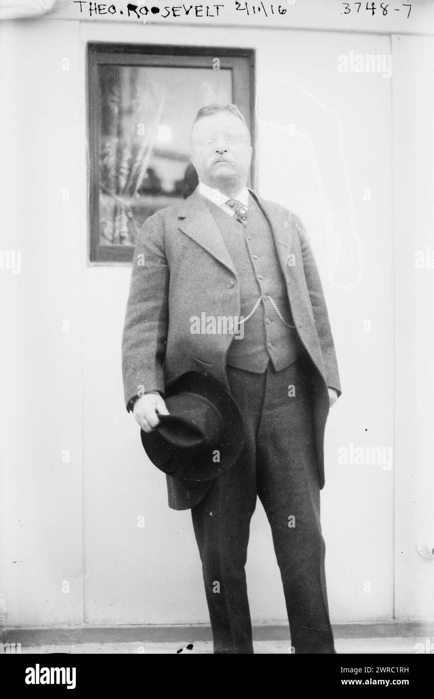 Theo Theodore Roosevelt, 2/11/16, 2/11/16, Glass negatives, 1 negative: glass Stock Photo