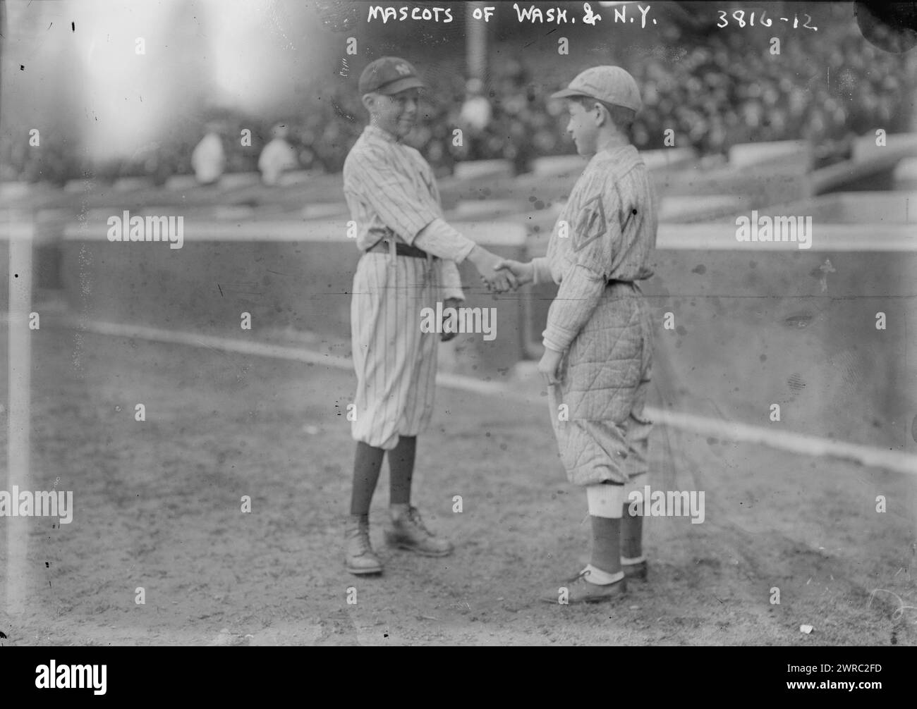 Mascots of New York AL & Washington AL (baseball), 1916, Glass negatives, 1 negative: glass Stock Photo