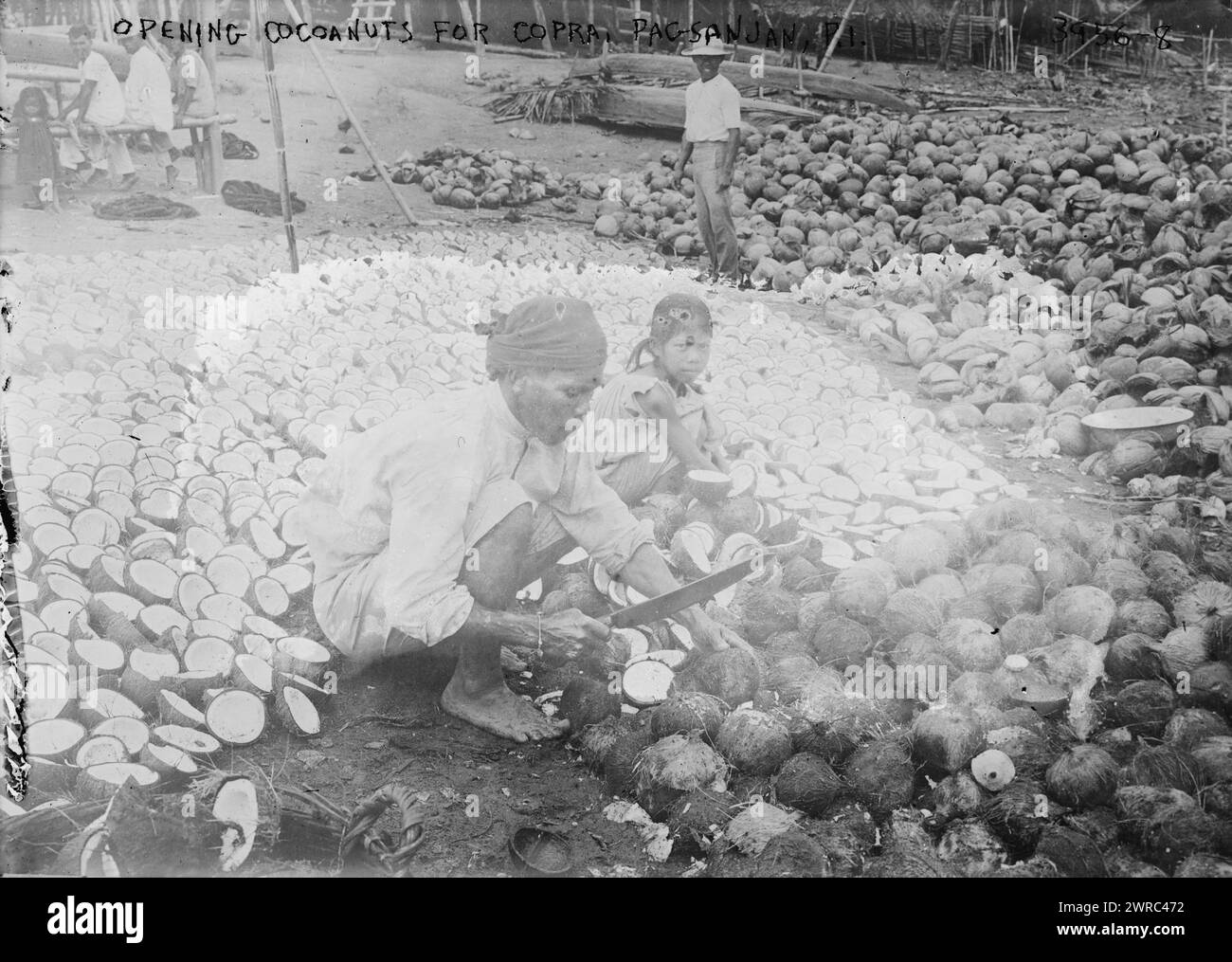 Opening Coconuts for Copra, Pagsanjan, P.I., Photograph shows man opening coconuts with a knife, Pagsanjan, Philippines., between ca. 1915 and ca. 1920, Glass negatives, 1 negative: glass Stock Photo