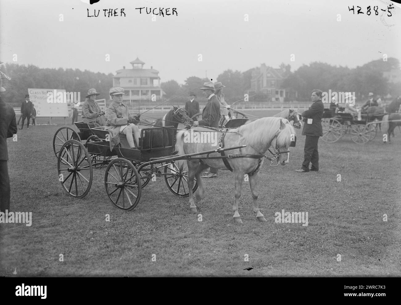 1917 monmouth county horse hires stock photography and images Alamy