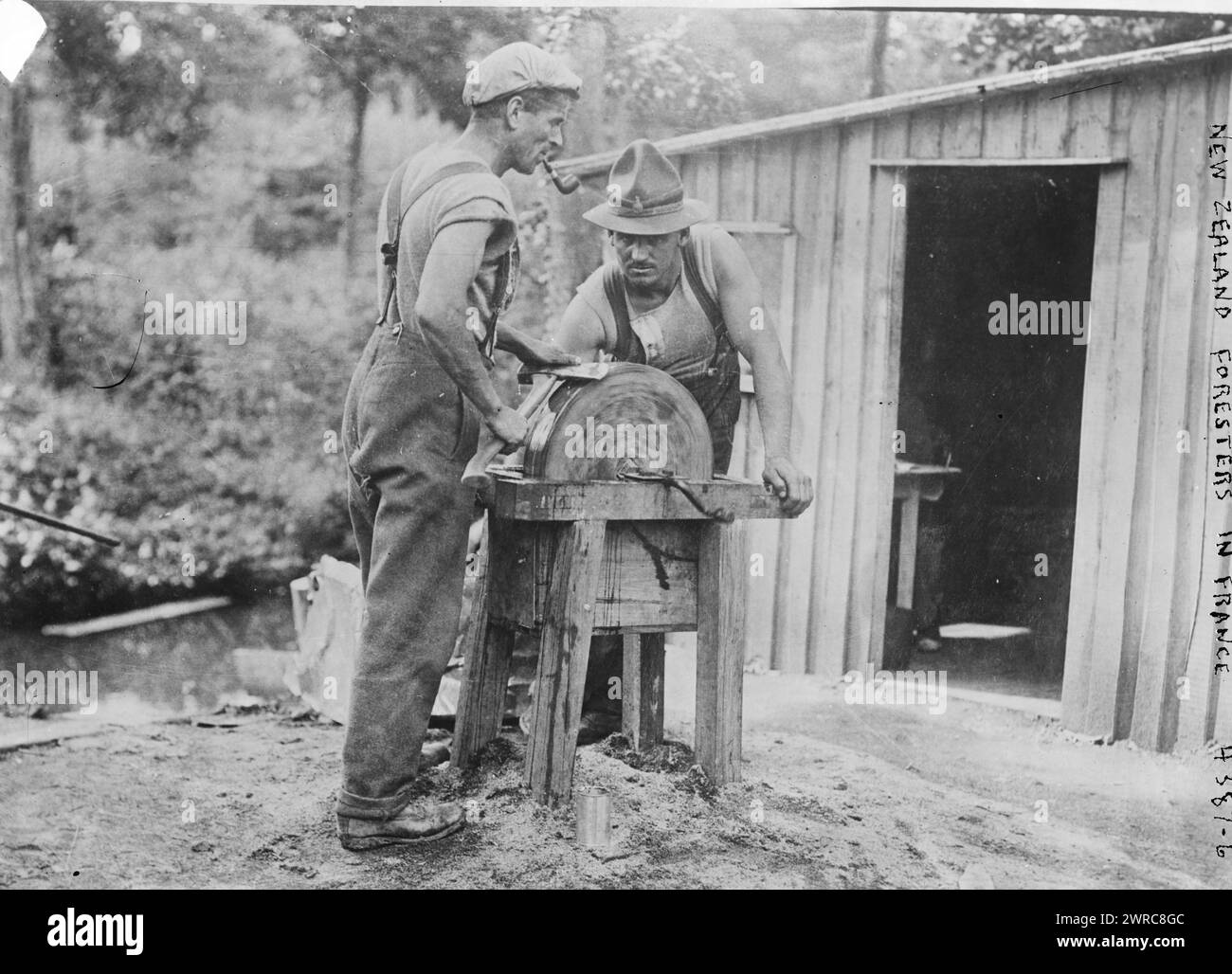 New Zealand foresters in France, between ca. 1915 and ca. 1920, Fr, Glass negatives, 1 negative: glass Stock Photo