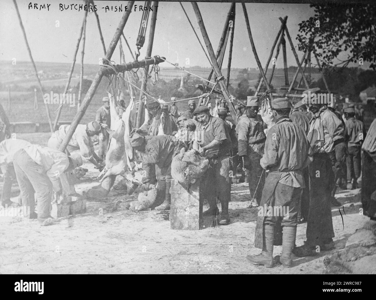 Army butchers, Aisne Front, Photograph shows army butchers with a hanging carcass on the Aisne, (France) front during World War I., between ca. 1915 and 1918, World War, 1914-1918, Glass negatives, 1 negative: glass Stock Photo