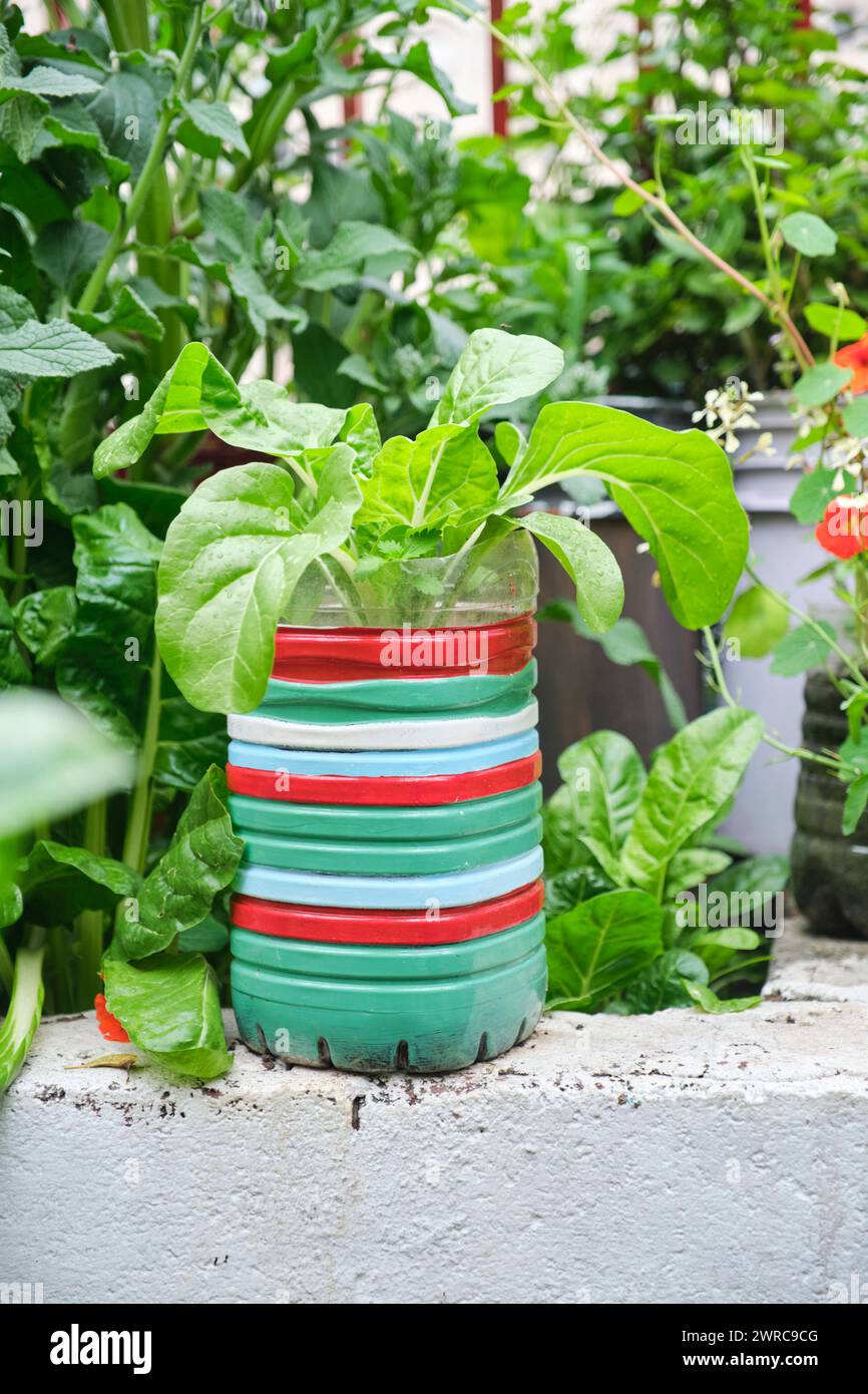 indoor white plant pots LE TAUCI 12 Inch Pots for Plants, Ceramic Large Planters for Indoor Pl   LETAUCI