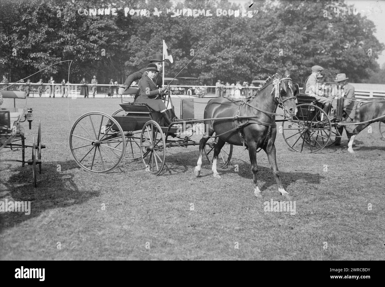 Corinne Poth & 'Supreme Bounce', Photograph shows Corinne Poth seated in carriage during a horse event at the Piping Rock Club horse show, Locust Valley, New York State, which took place on Sept. 28, 1918., 1918 Sept. 28, Glass negatives, 1 negative: glass Stock Photo